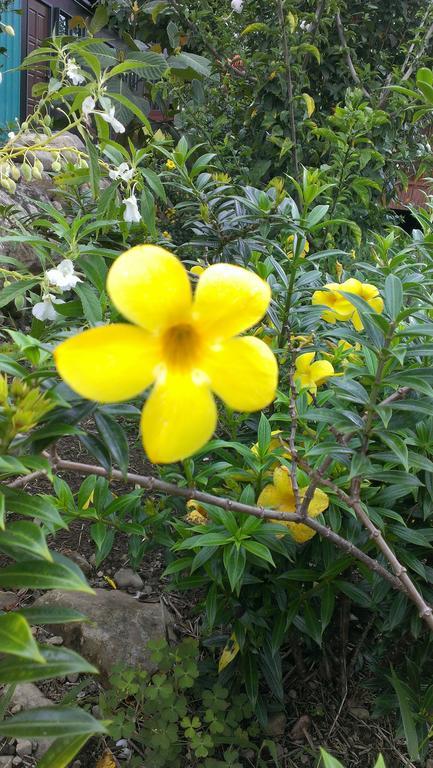 Kinabalu Poring Vacation Lodge Kampung Poring Bagian luar foto
